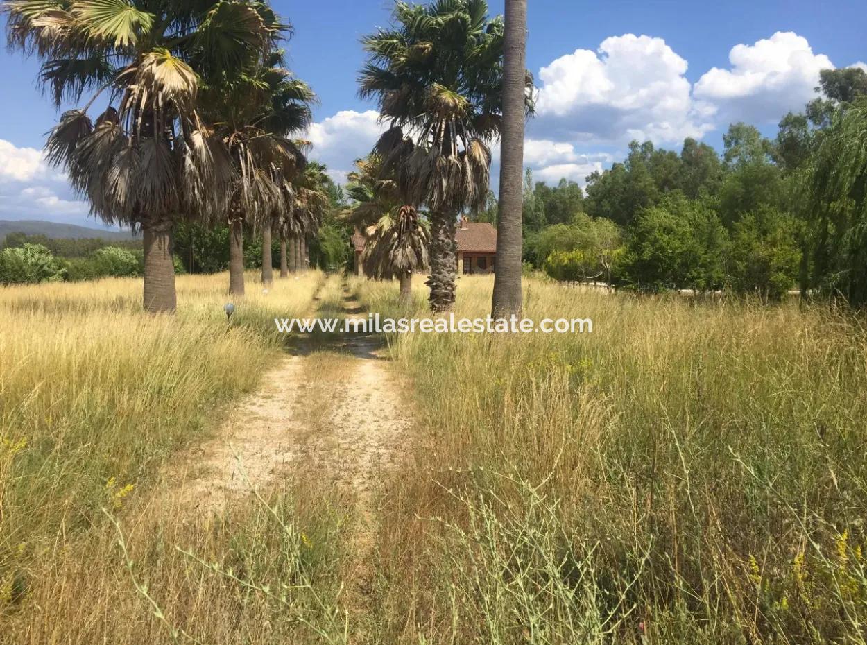 Erstaunliche Farm Zum Verkauf In Mugla Gokova Bay, Gebaut Auf 26000M2Arsa