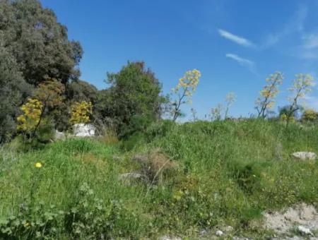 Grundstück Zu Verkaufen Mit 4000M2 Touristischen Entwicklung Am Meer In Bodrum Akyarlar