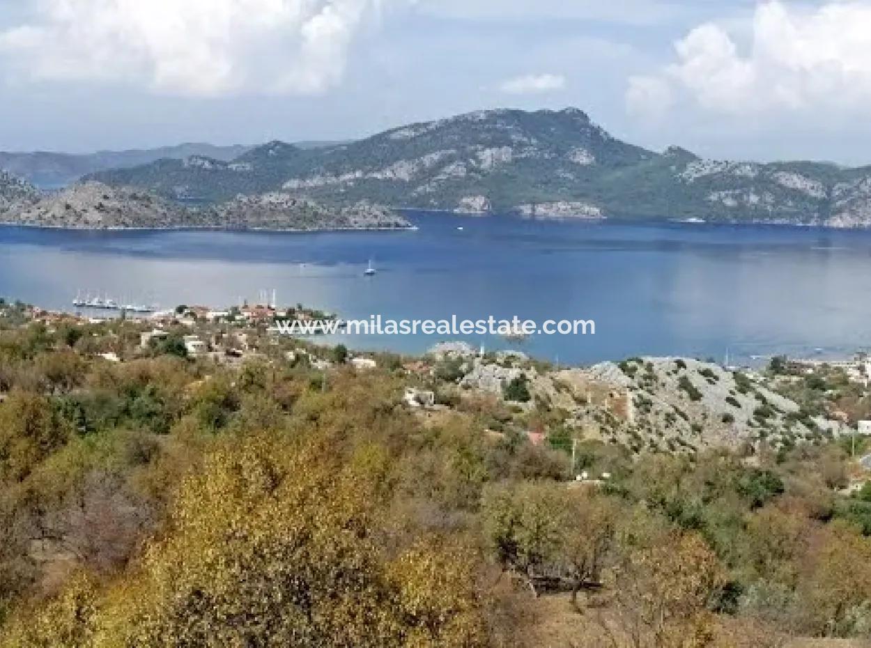 5500M2 Land For Sale In Selimiye Village By The Sea Is Our Hotel.