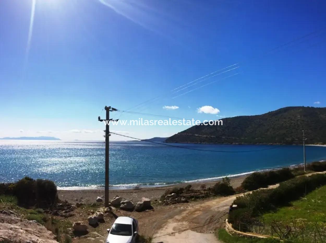 Land For Sale With Sea View With 52000M2 Parcel In Mugla Province Datca District Masoudye Neighborhood