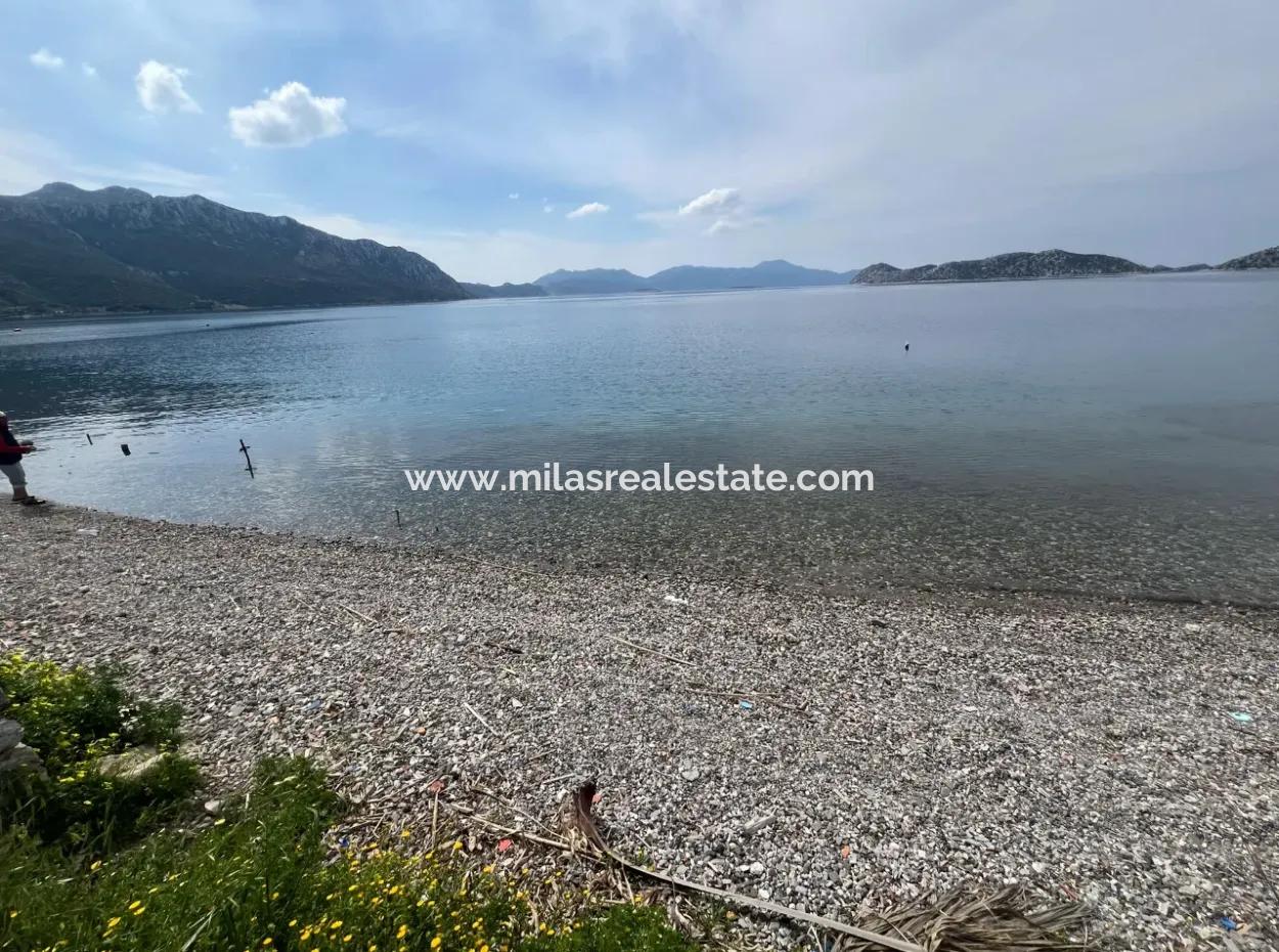 Detached House For Sale On 2000M2 Plot Of Land By The Sea In Marmaris Söğüt Neighborhood. Suitable For Tying A Boat In Front Of It.