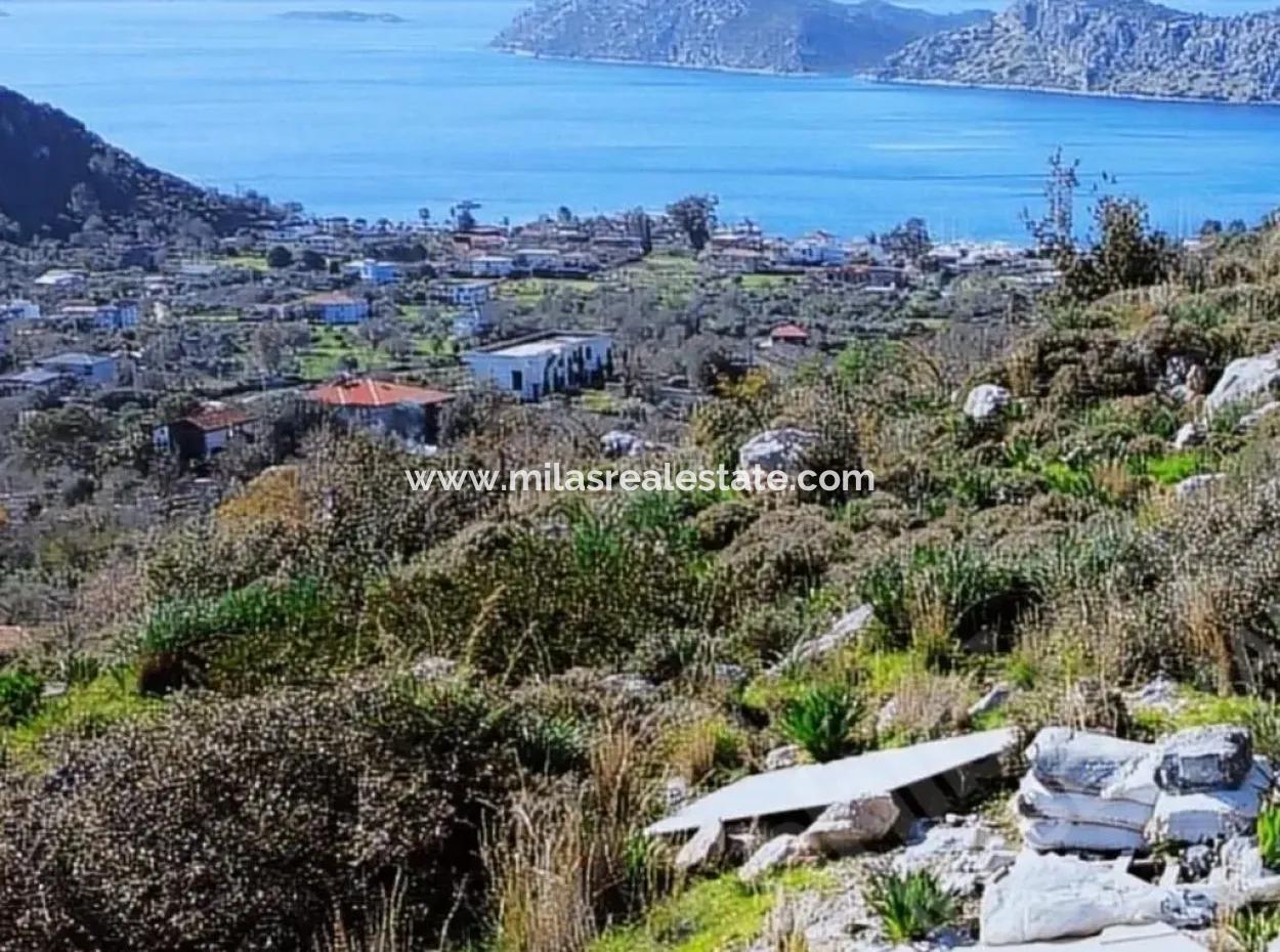 2100M2 Prefabricated Village House With Sea View For Sale In Söğüt Village, Marmaris