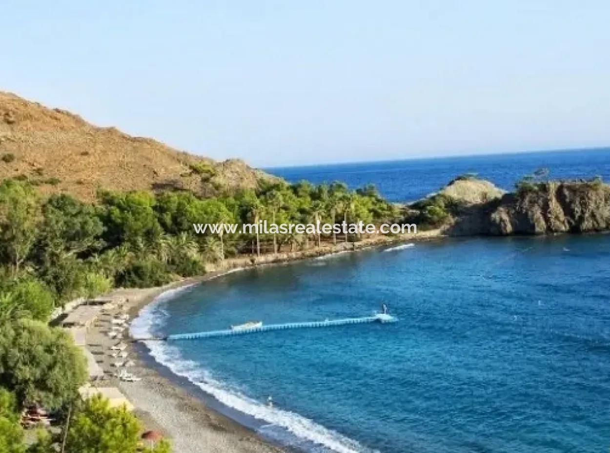 Built On A Plot Of 100000M2 For Sale In 60 Km From The Center Of Datca Holiday Village