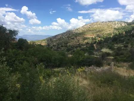 Akbuk, Mugla Province, County And Neighborhood Of The House In A Plot Of 3500 M2 In Zeytinkoy 2 Current Land Plot For Sale