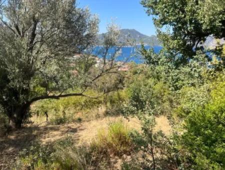 Land For Sale In Marmaris Selimiye Neighborhood With Sea View 5200M2 Suitable For The Construction Of 2 Villas Or Hotel Construction