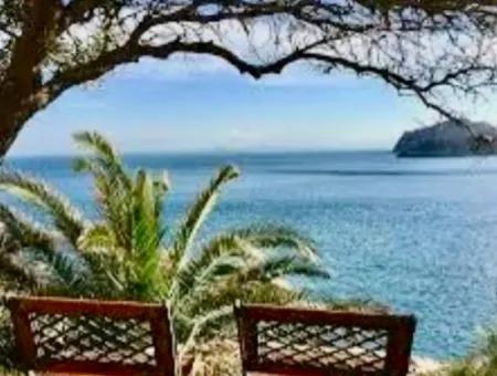 81000M2 Island For Sale In Marmaris Region 31000M2 Title Deed Official Electricity Water Available Manor House With Legal House In It