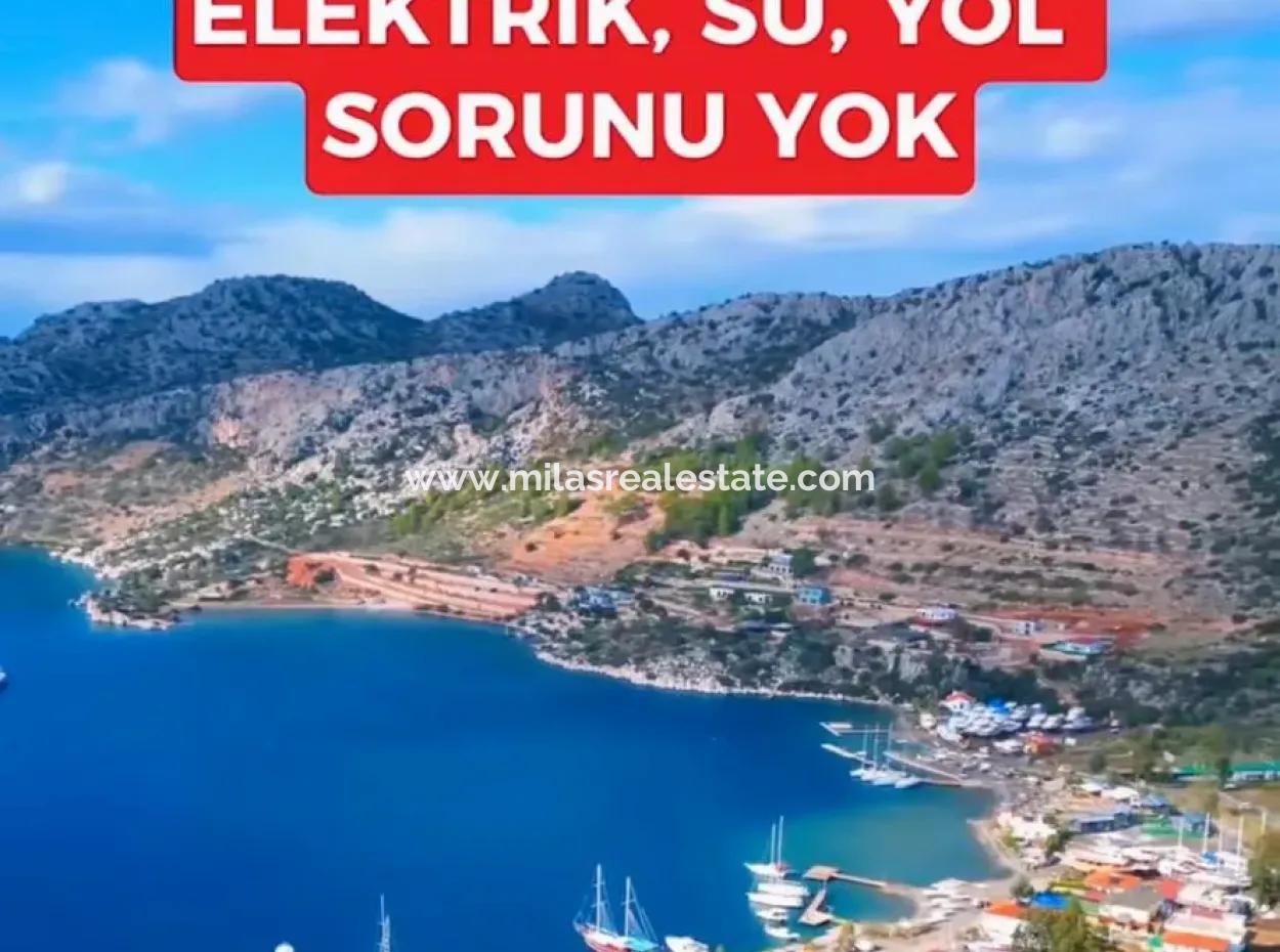 Marmaris Söğüt Köyünde Denize Sıfır 1000M2 Arsa İçerisinde 6 Odalı  Havuzlu Yalı Dairemiz Satılık.önüne Tekne Bağlayabilirsiniz.