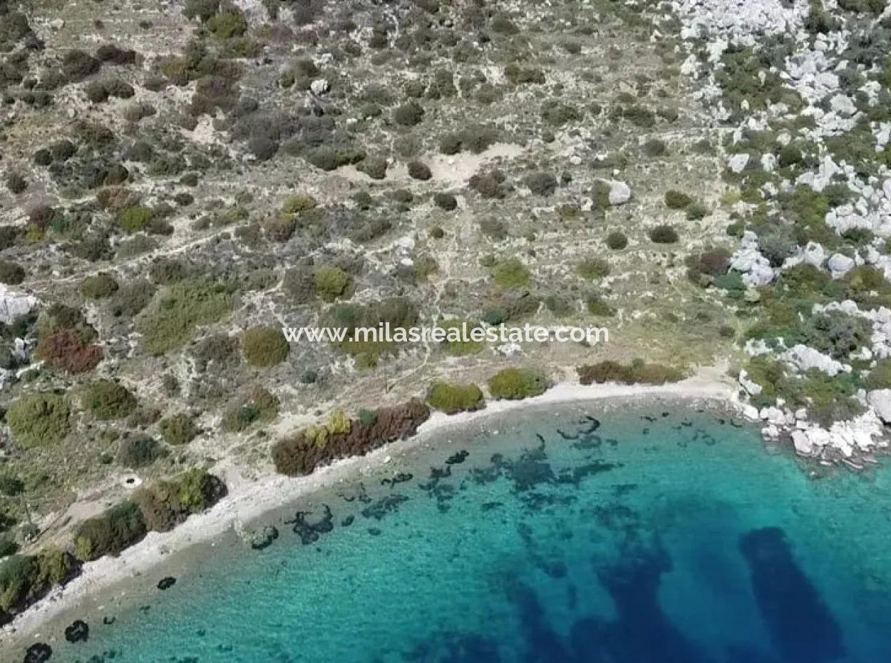 Marmaris İlçesi Söğüt Köyünde Denize 50 Metre Yatırım İçin Uygun 2000M2 Satılık Deniz Manzaralı Arsa