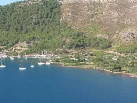 Marmaris İlçesi Orhaniye Köyünde Denize Sıfır 6000 M2 Satılık Koy