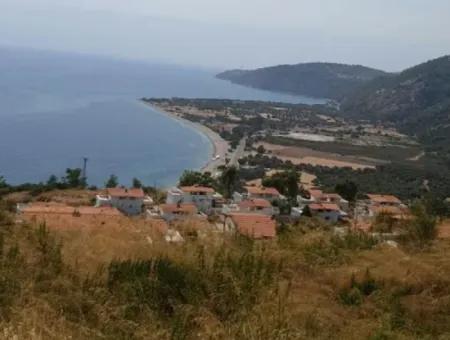 Milas Bozalan Mevkisinde 19 Adet Katirtifak Tapusu Çıkmış Villa Yapımına Uygun Satılık İmarlı 4400 M2 Arsa