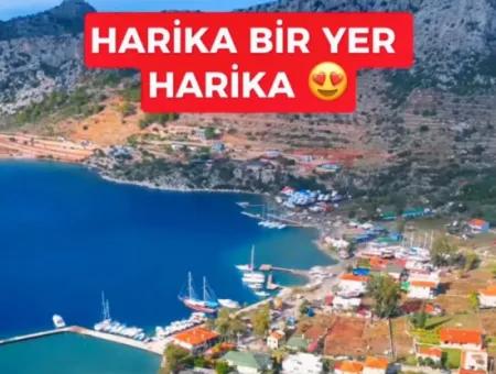 Marmaris Söğüt Köyünde Denize Sıfır 1000M2 Arsa İçerisinde 6 Odalı  Havuzlu Yalı Dairemiz Satılık.önüne Tekne Bağlayabilirsiniz.